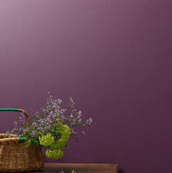 Boujee Wall Paint