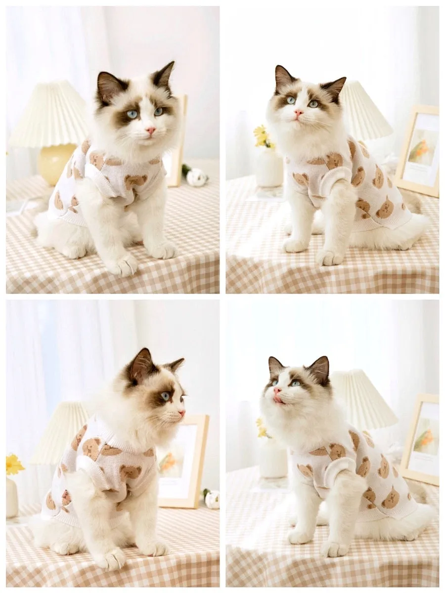 Knitted Pet Sweater